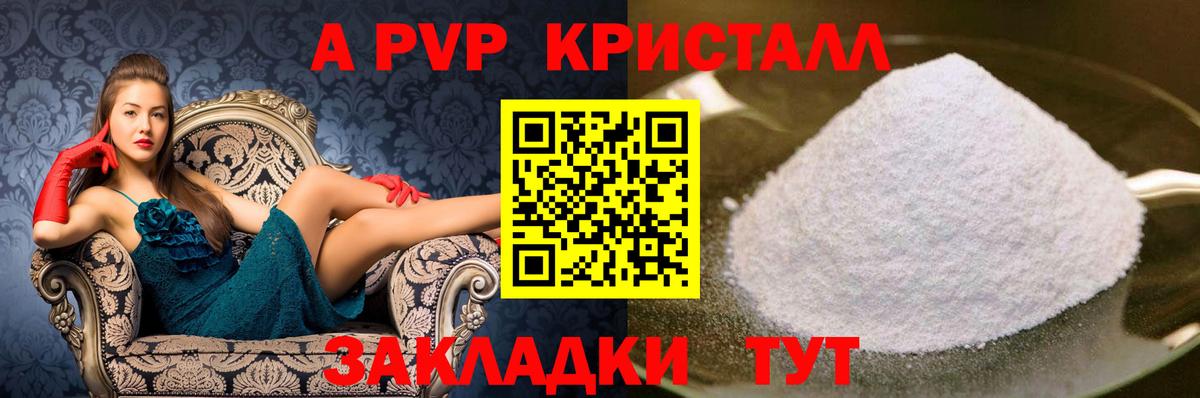 Alfa_PVP СК Пенза