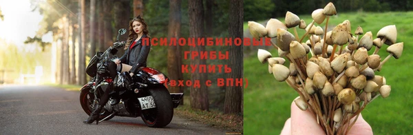 кокаин премиум Алзамай