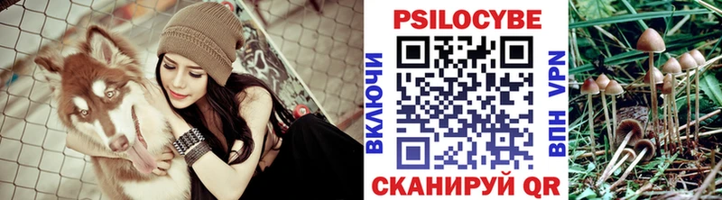 Галлюциногенные грибы Psilocybe  дарнет шоп  Пенза 