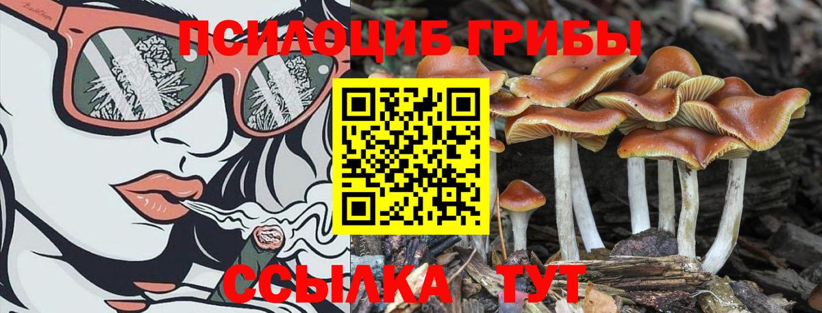 Пенза  Галлюциногенные грибы ЛСД  Псилоцибиновые грибы ЛСД  Вход с VPN 
